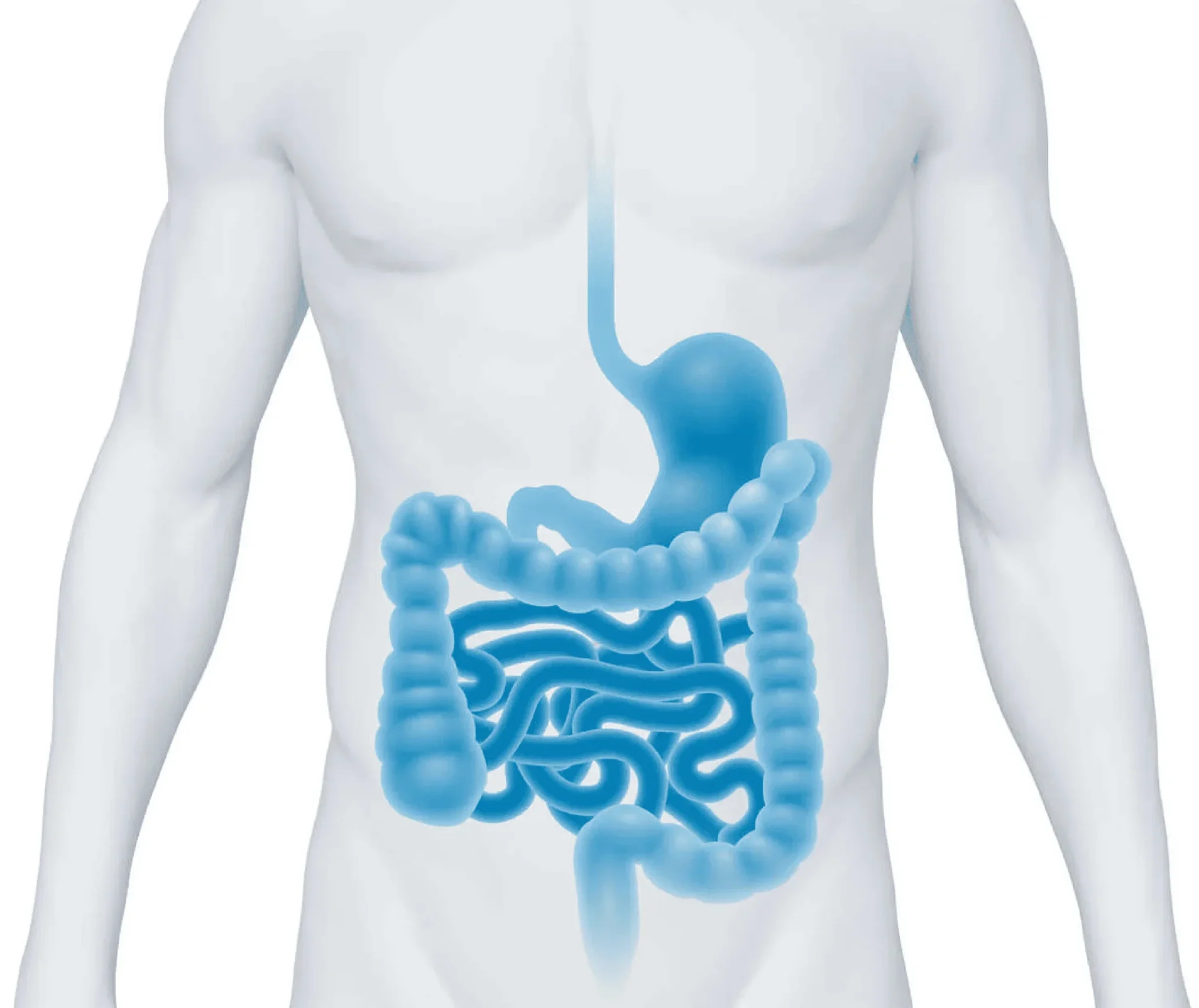 Gastroenterólogo - Bonilla Gastroenterology
